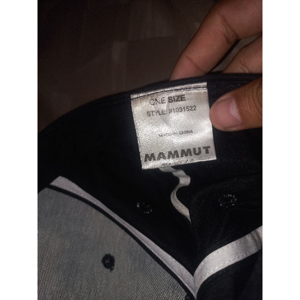 Mammut