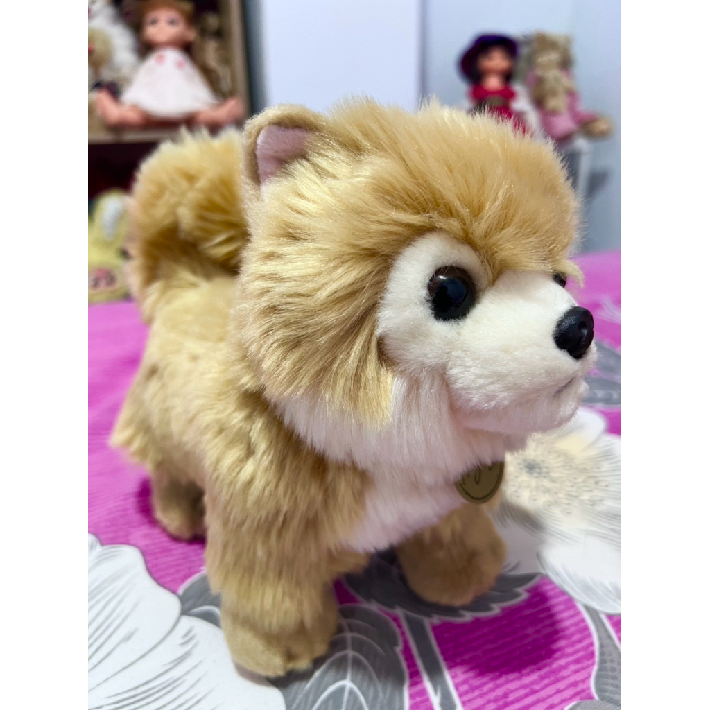 Boneka Anjing Ras Pomeranian Baru 20 Cm