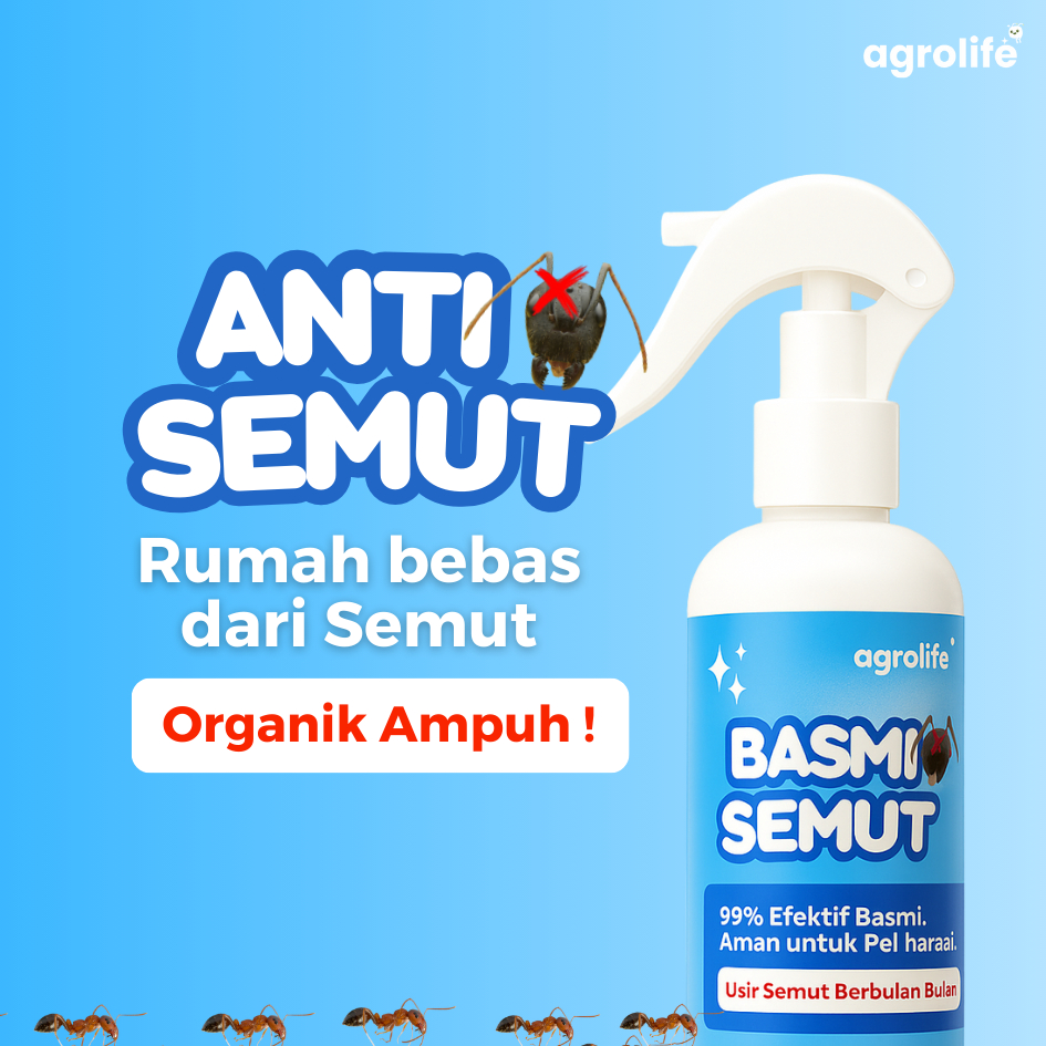 AGROLIFE Pengusir Semut Efektif Ampuh - Pembasmi Semut Mobil Ruangan Anti Semut
