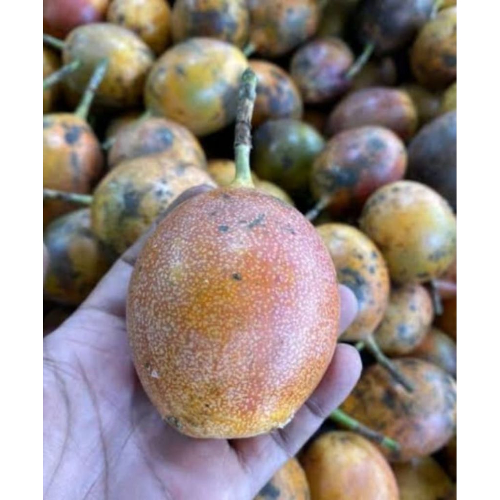 Buah Markisa / Markisa Madu