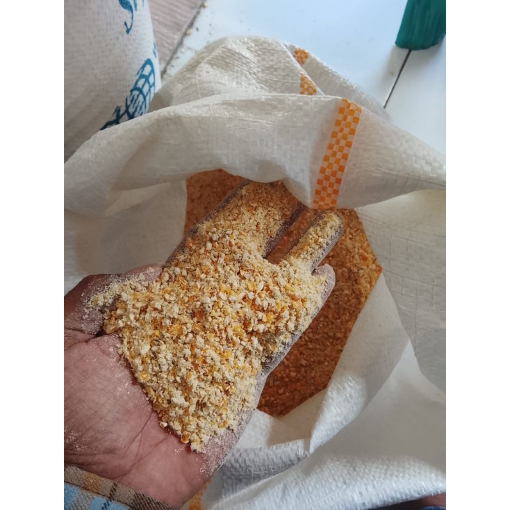 jagung giling pakan ternak.