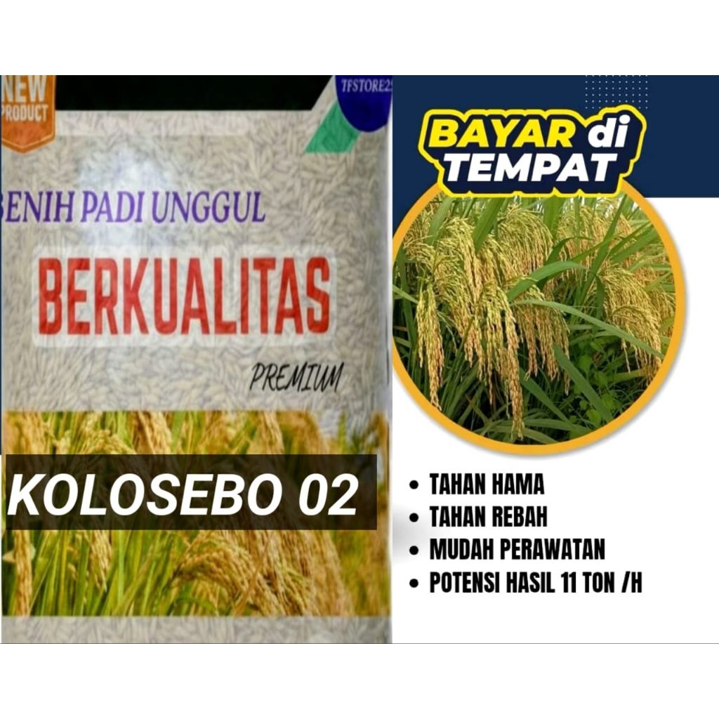 benih padi original jenis kolosebo 02 kemasan 5kg