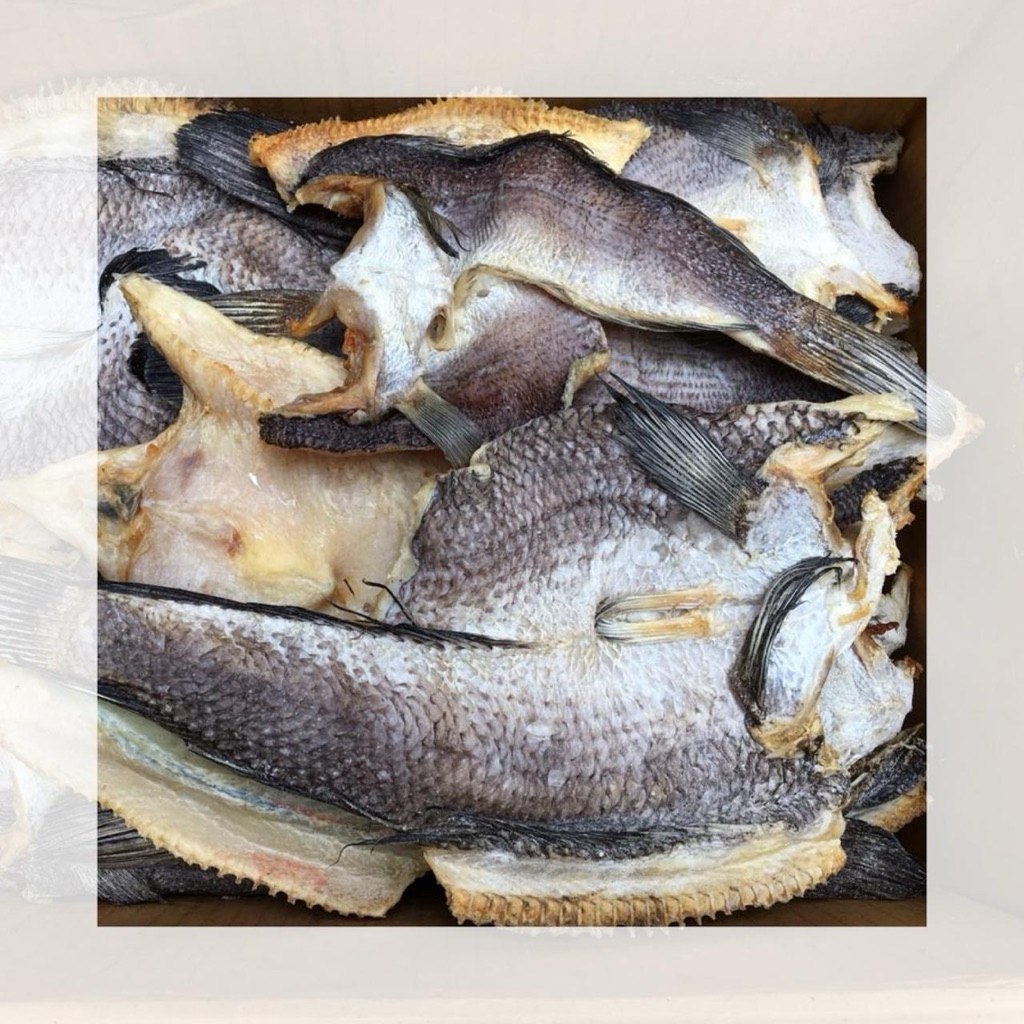 Ikan gabus asin / ikan gabus