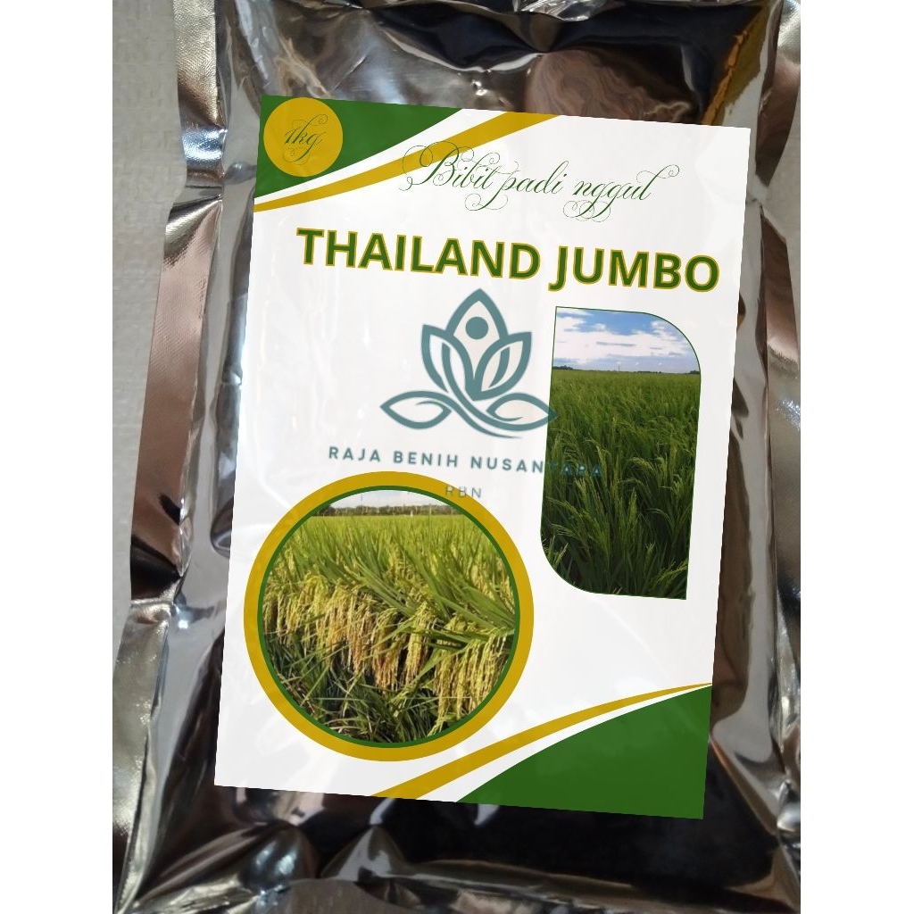 bibit padi terbaru THAILAND JUMBO kmasan 1kg