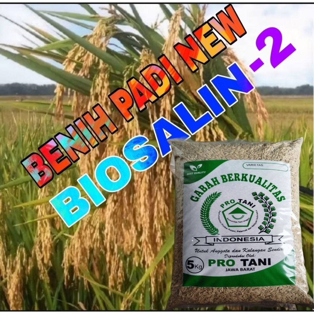 5KG BENIH PADI BIOSALIN-02 BERSERTIFIKAT LABEL PUTIH