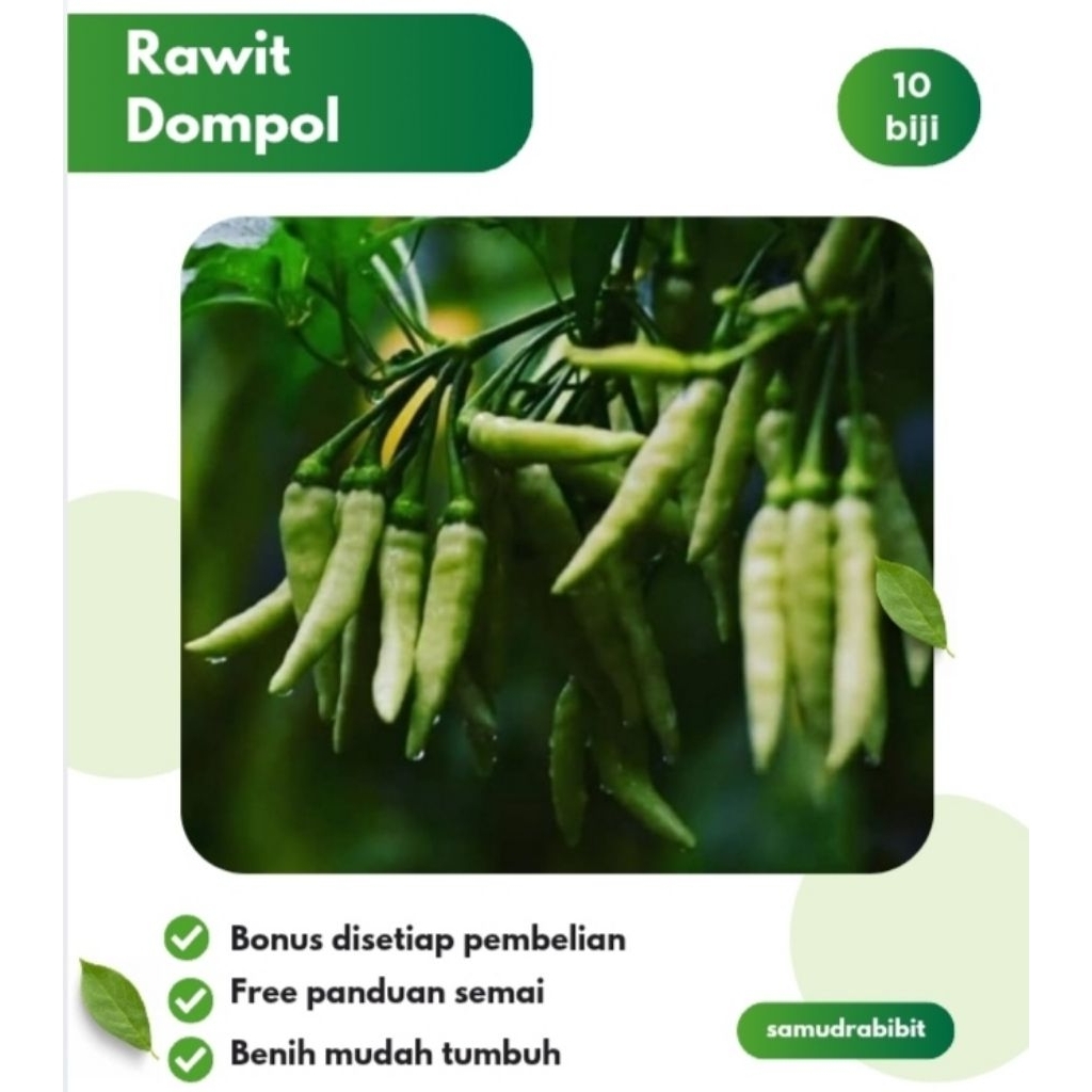 Benih Cabe Rawit Dompol Orion F1 Hibrida
