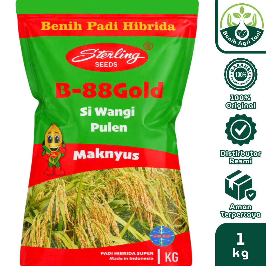 B-88 GOLD 1 kg Benih Padi Hibrida Sterling Seed