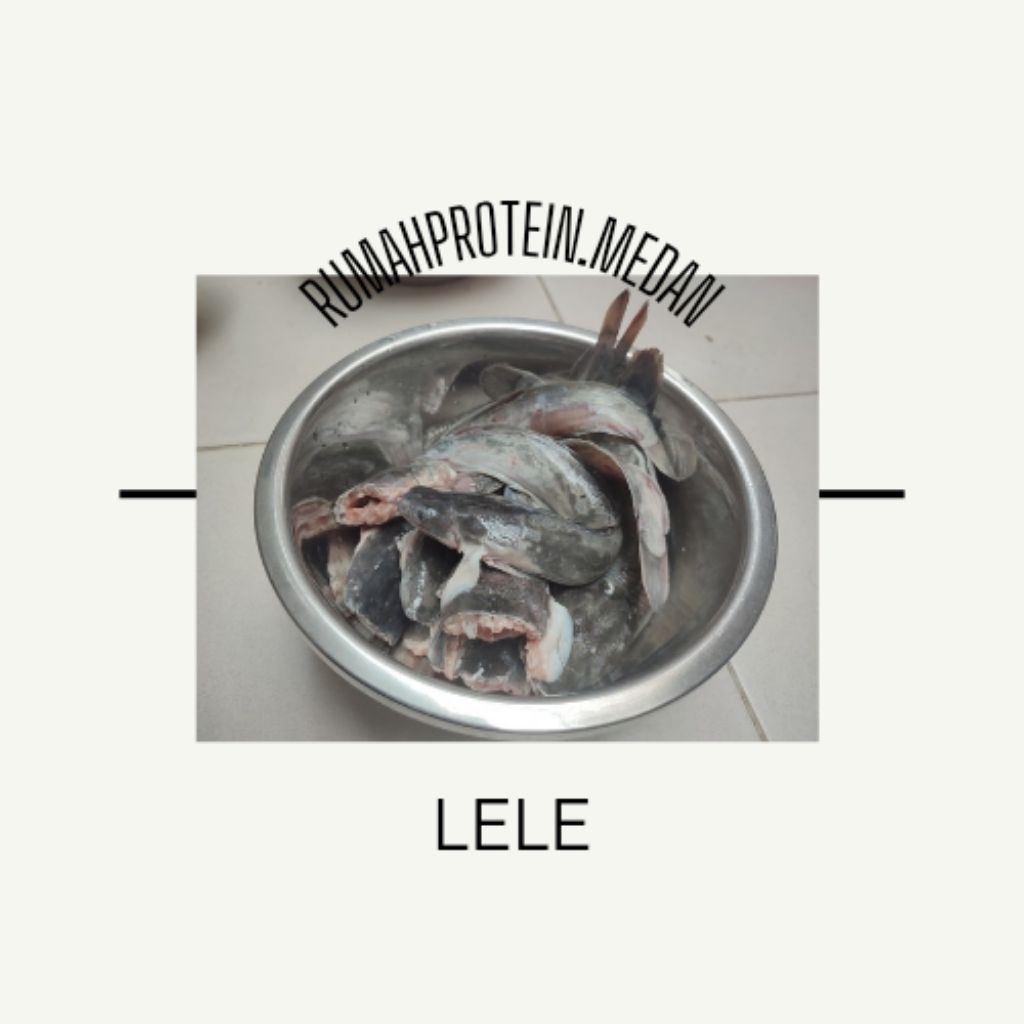 IKAN LELE & LELE MARINASI