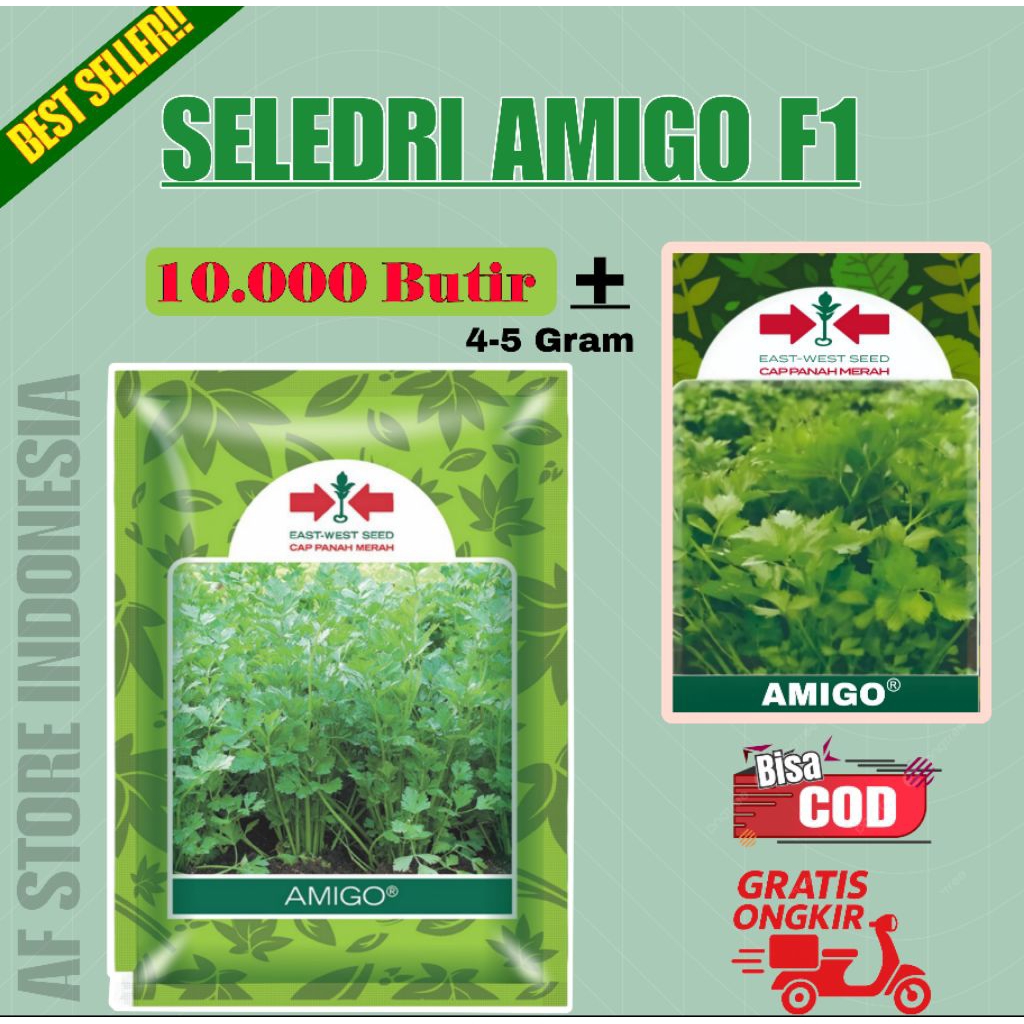 Benih Seledri AMIGO Cap Panah Merah - Daya Tumbuh Tinggi, Daun Hijau Muda, Produktif
