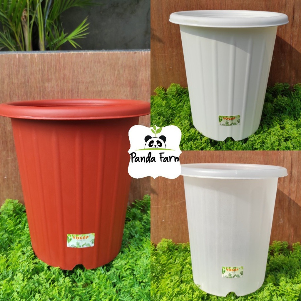 Pot Tinggi Pirus Besar Yogap no 30 - Warna