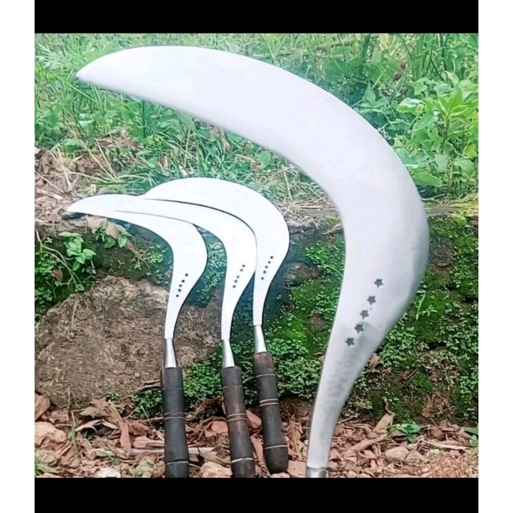 arit rumput sabit pemangkas rumput