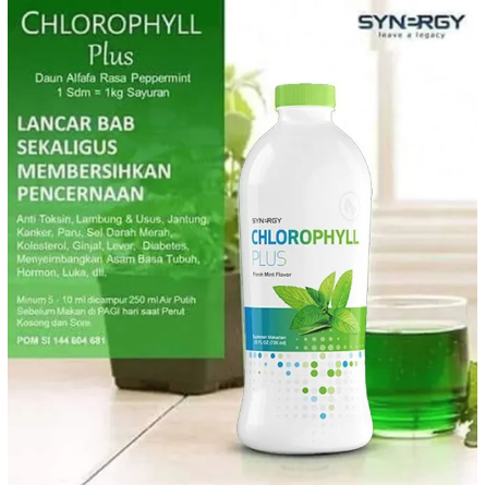 Klorofil Cair dengan Rasa Mint CHLOROPHYLL PLUS (25 Oz) Synergy