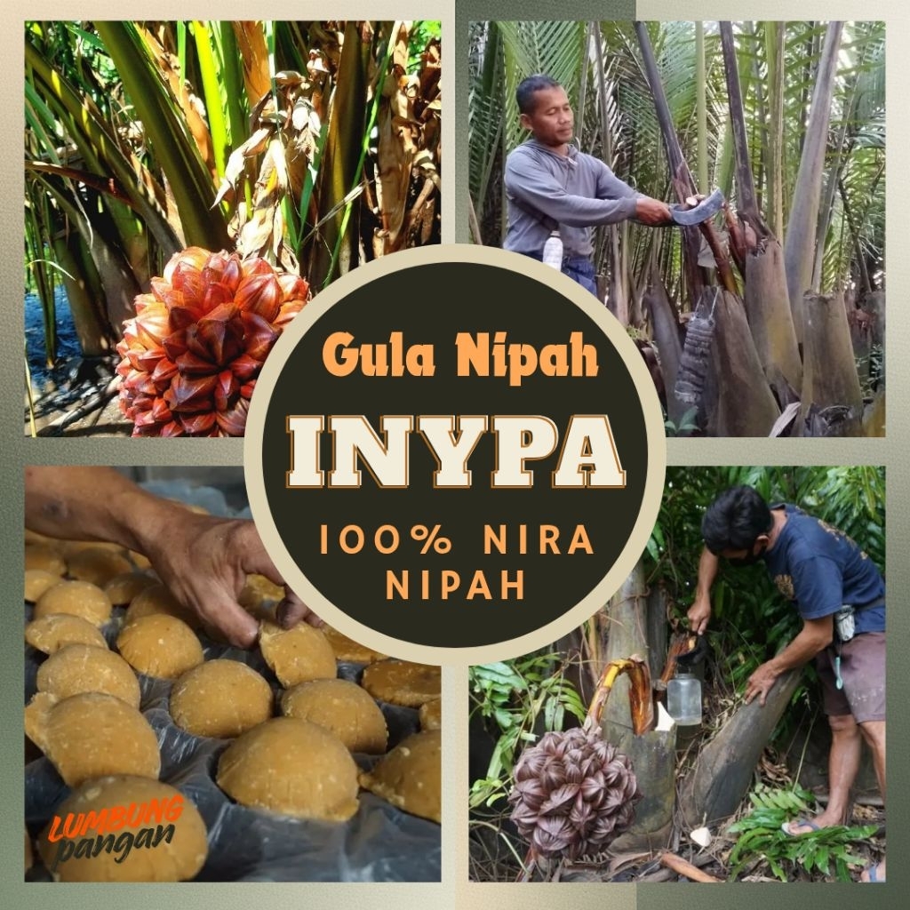 Gula Nipah 1 kg Asli 100% dari nira pohon nipah - Gula dahon asli organik langsung dari petani - Gul