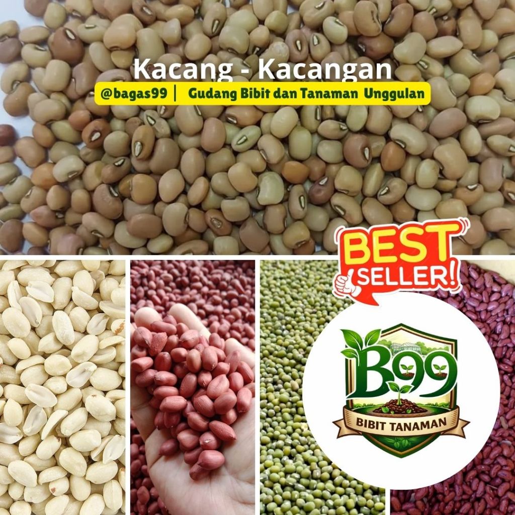 KACANG HIJAU MERAH SENEREK TANAH KUPAS MENTAH BERKUALITAS