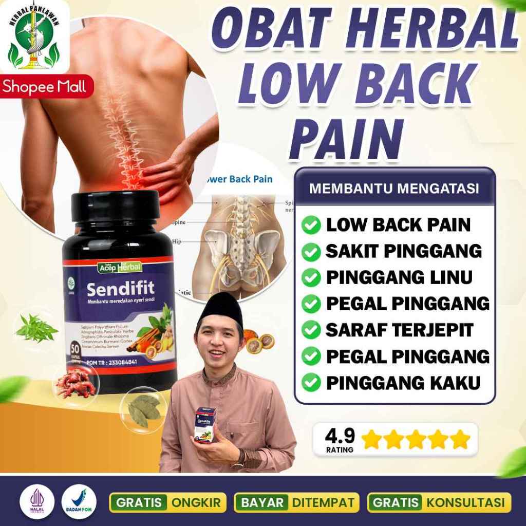 Obat Herbal Low Back Pain (LBP), Sakit Pinggang, Punggung, Pegal Linu, Saraf Terjepit - SendiFit Asl