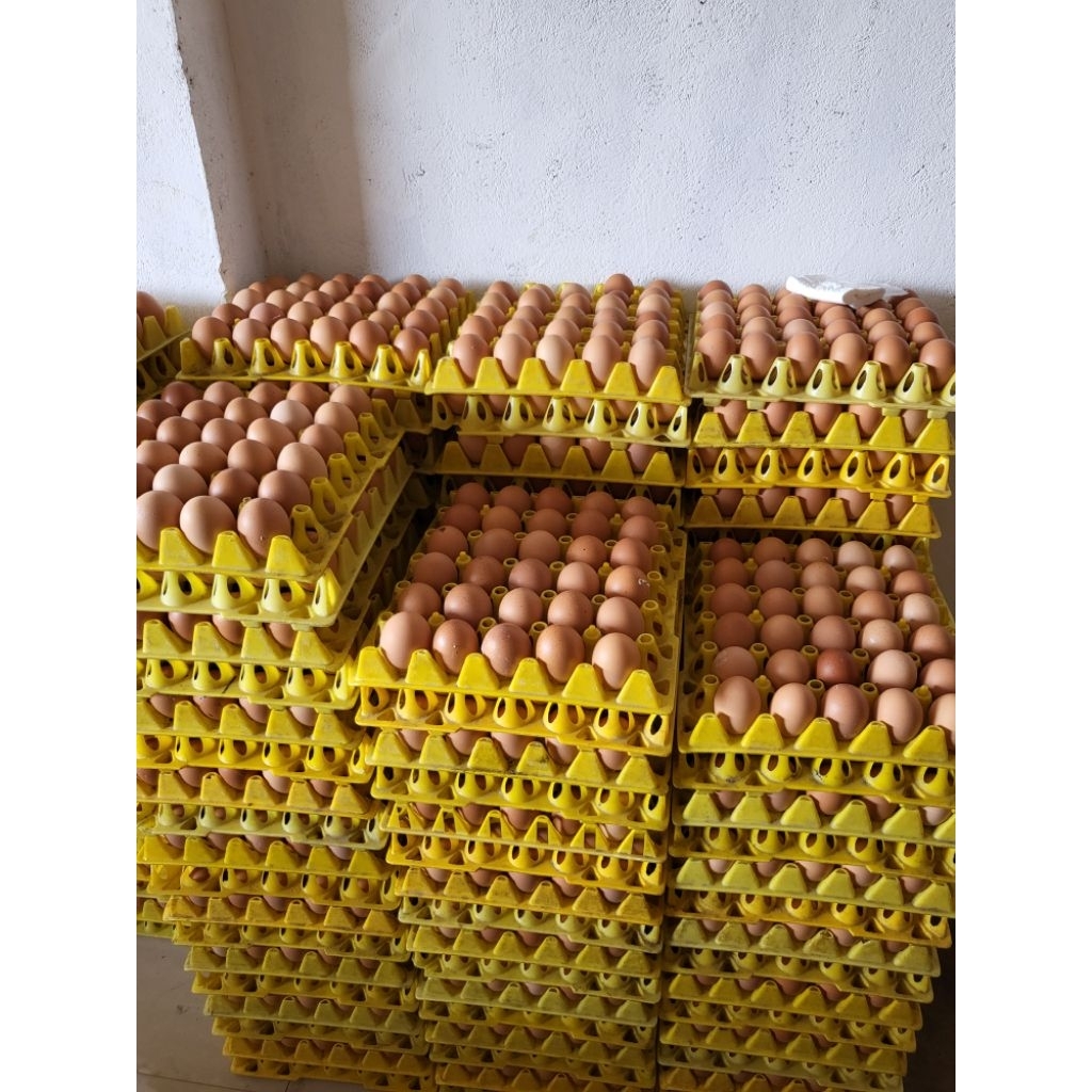 Telur Ayam Negri 1 tray isi 30 pcs Segar dan Baru