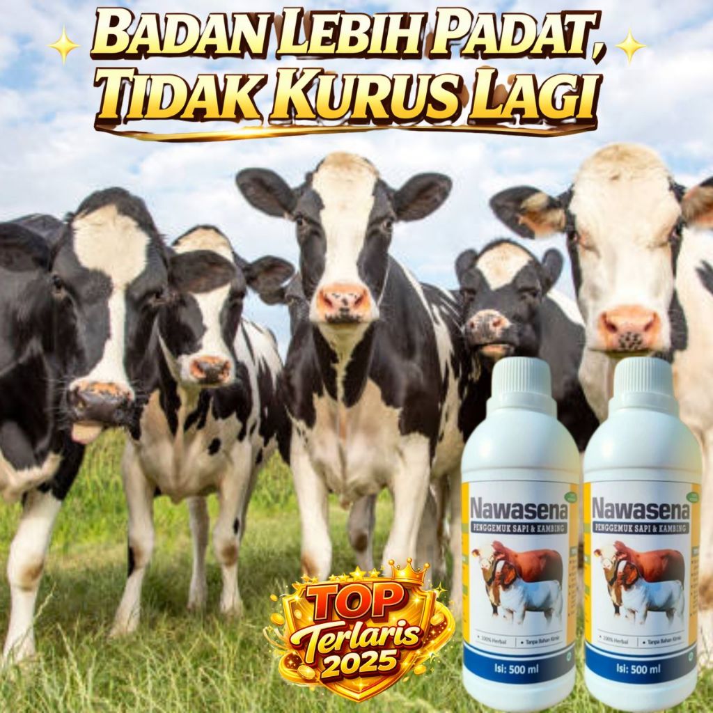 Vitamin B Complex Nawasena Penggemuk Sapi Terbaik, Vitamin B Complex Hewan Boster Sapi, TOP 1 Terlar