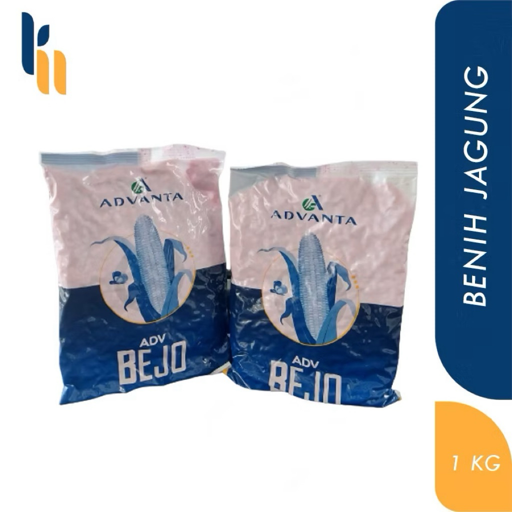Benih Jagung Hibrida ADV BEJO - 1 Kilogram