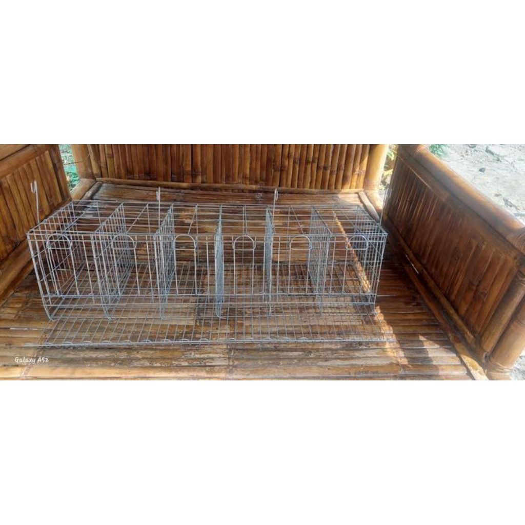 Kandang galvanis ayam petelur pintu 6 isi 6