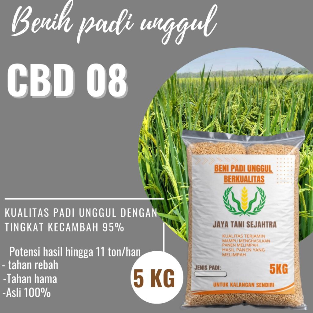 BENIH PADI UNGGUL CBD 08 KEMASAN 5KG