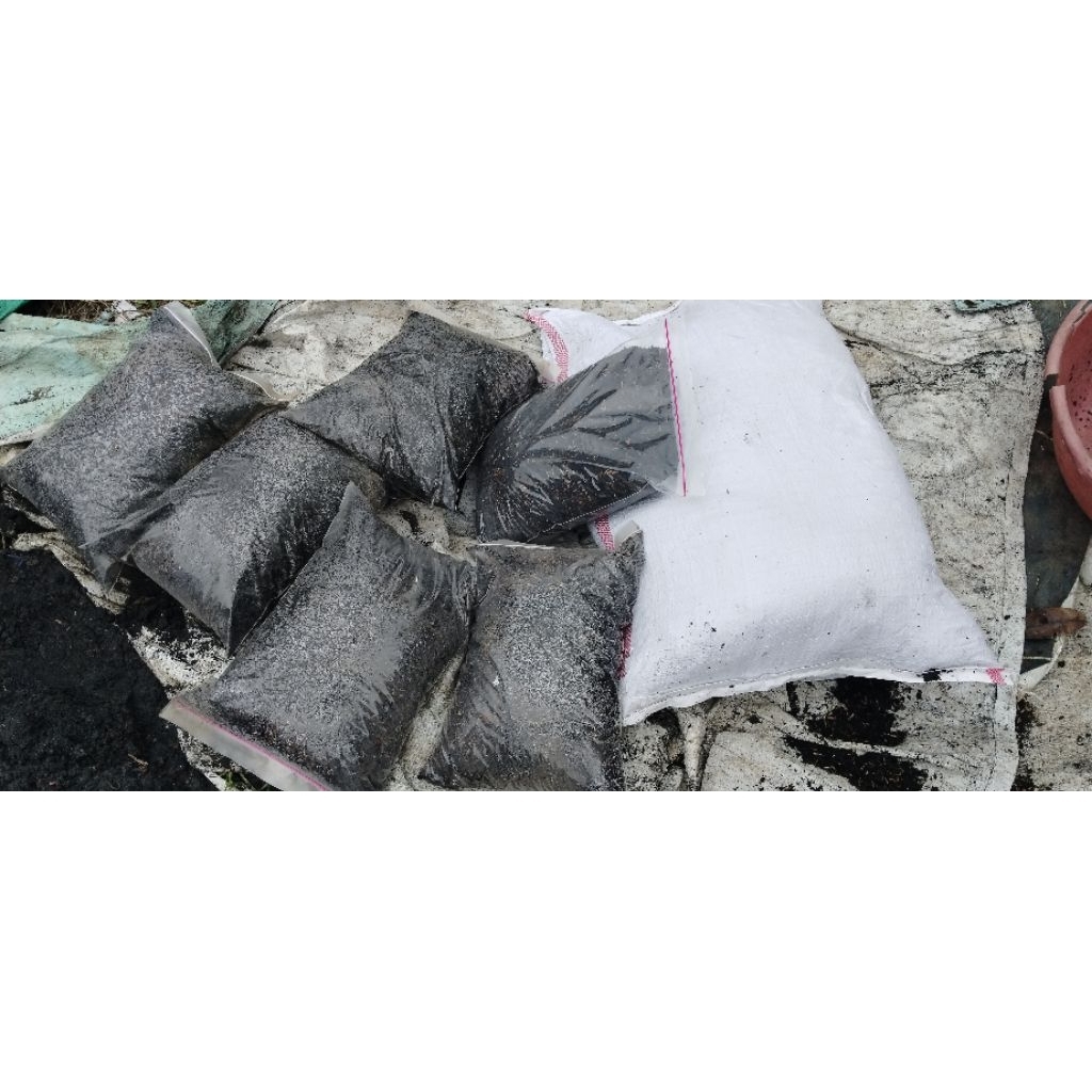 Media Tanam / Tanah Bertanam