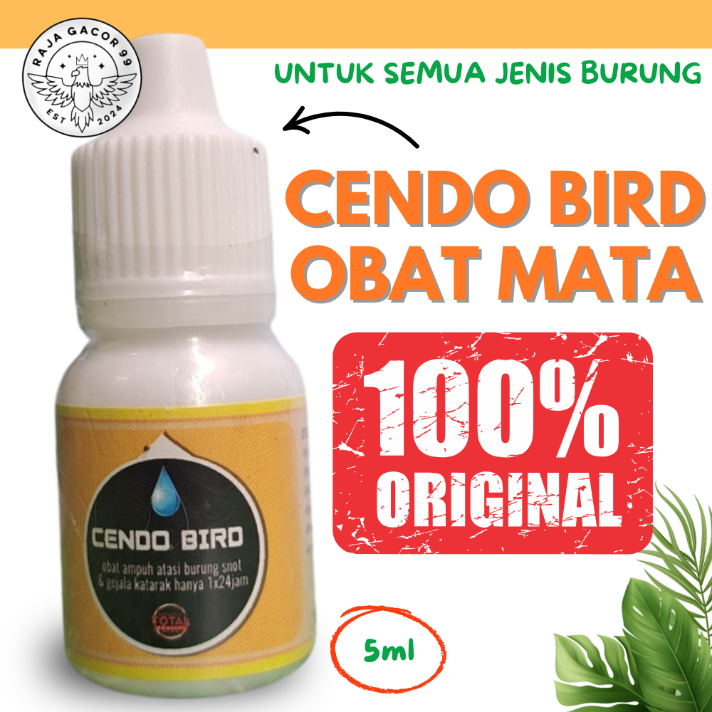 CENDO BIRD Obat burung Sakit Mata Katarak berlendir berair Mata Snot