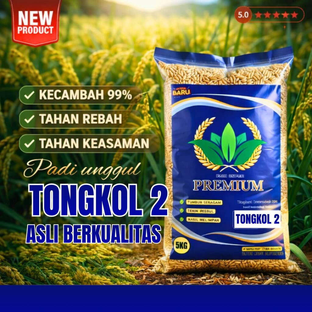 BENIH PADI UNGGUL 2 TONGKOL / Benih padi unggul tongkol 2 original