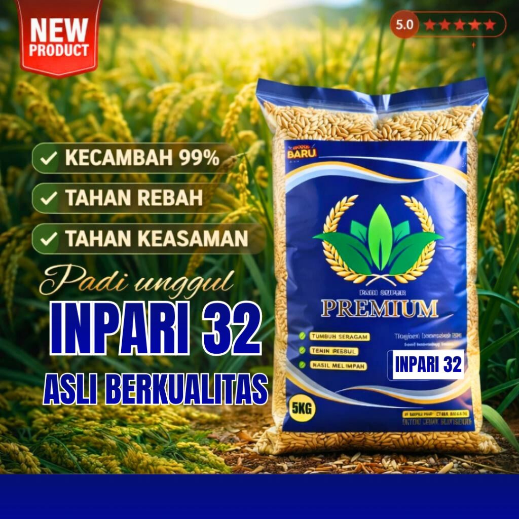 BENIH PADI UNGGUL INPARI 32 original 5kg / bibit padi unggul 32 jumbo