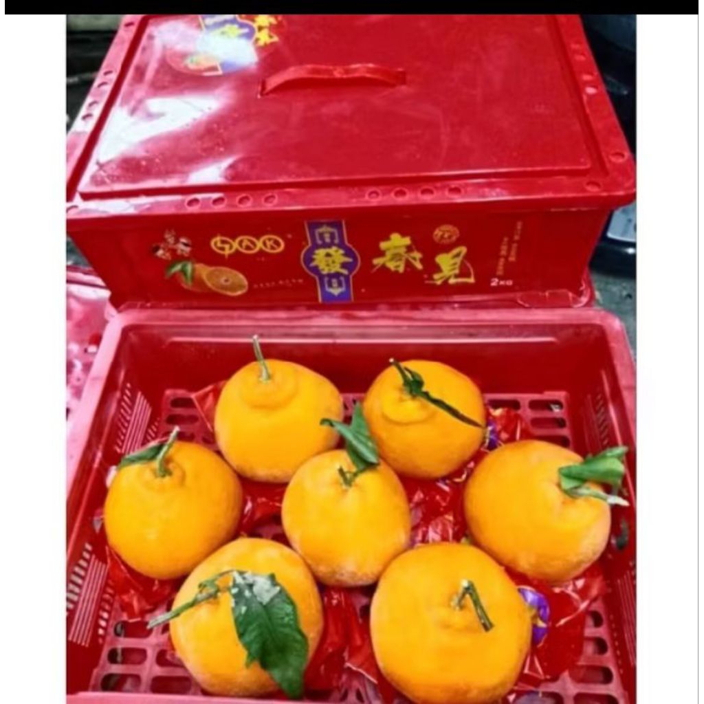 Jeruk Mandarin Chunjian spesial Imlek box 2kg