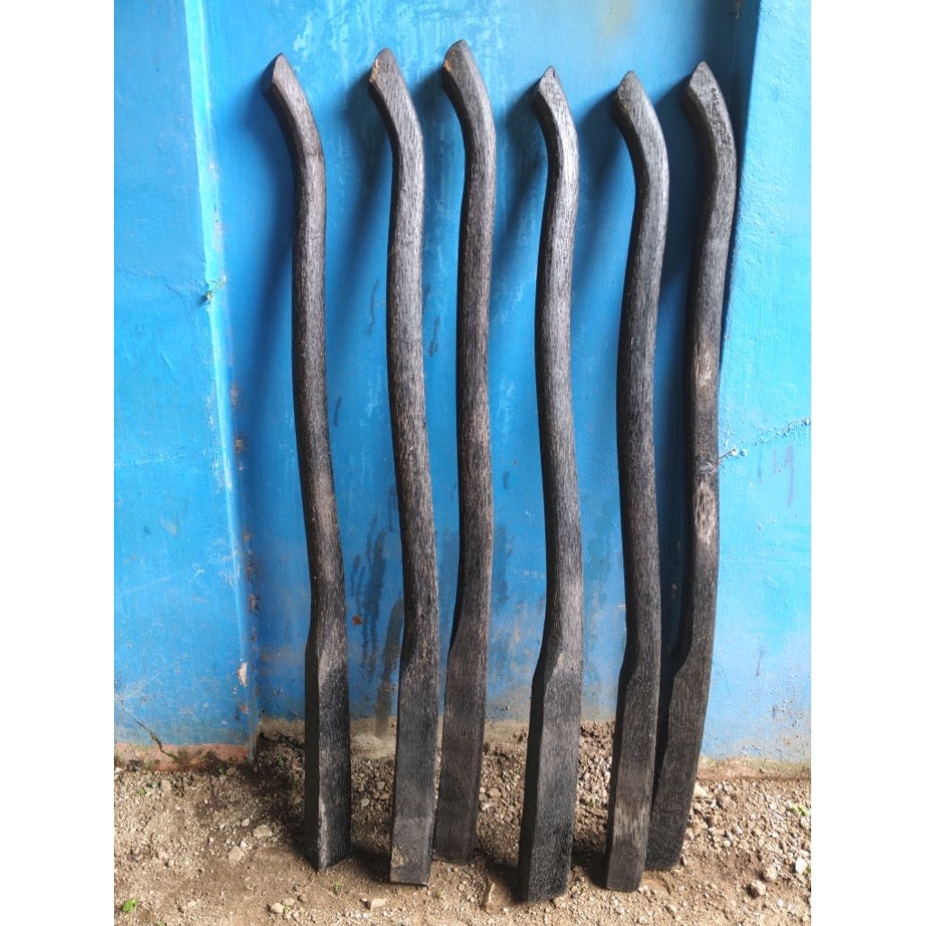 doran ruyung / doran pacul kayu ruyung