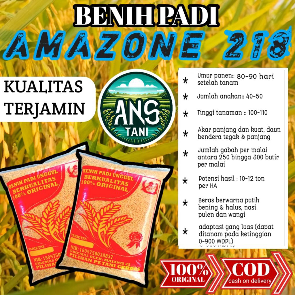 BENIH PADI UNGGUL AMAZONE 218 BERKUALITAS KEMASAN 5KG