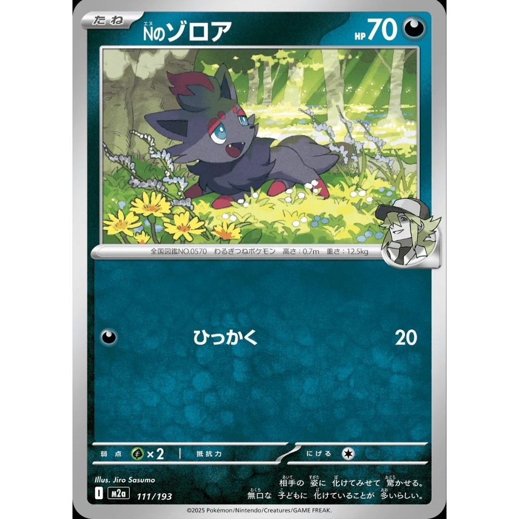 Tcg Pokemon Zorua Common M2a JPN
