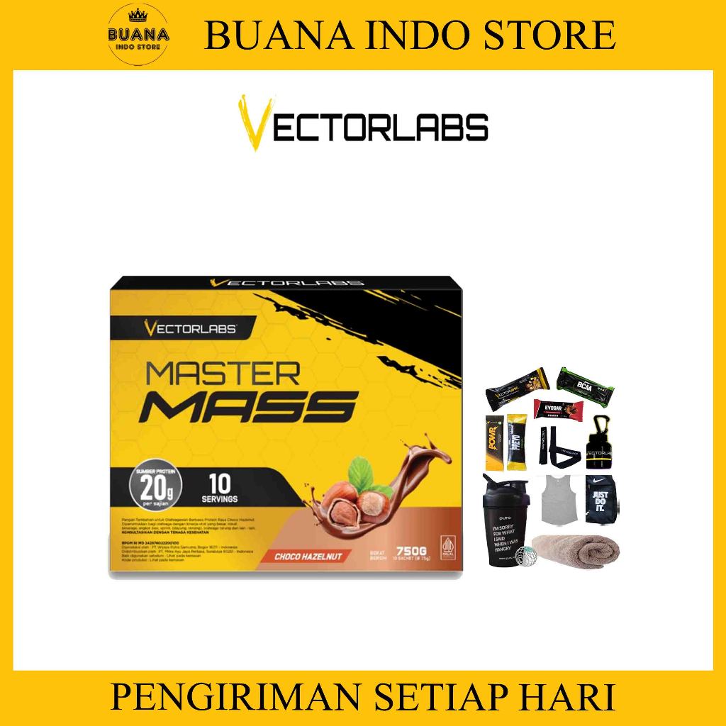 VECTORLABS Master Mass Box 10 Sachet - Weight Gainer - Susu Protein Saset