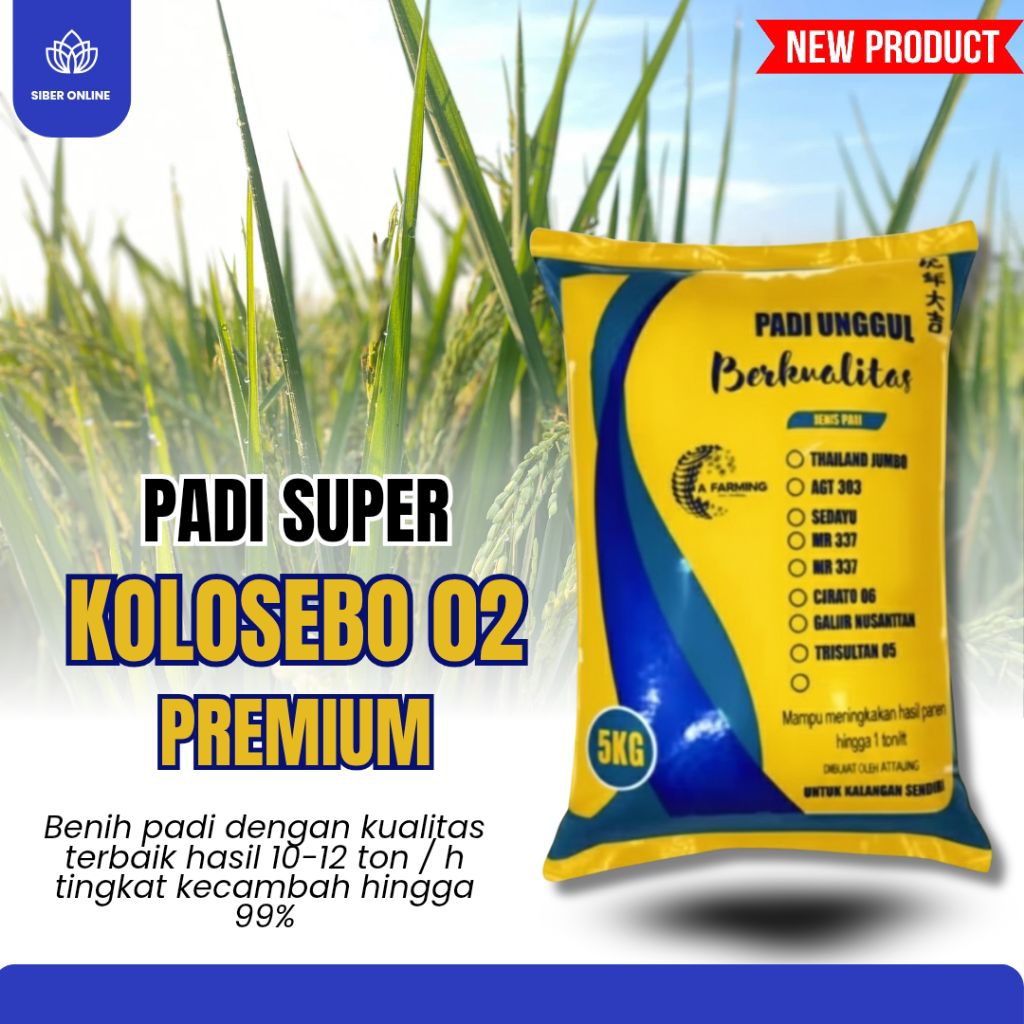 BENIH PADI UNGGUL KOLOSEBO 02 5KG ORIGINAL