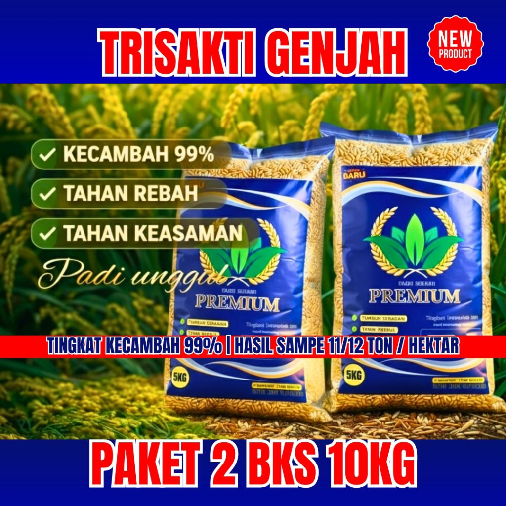 PAKET 10 KG  |. BENIH PADI UNGGUL GENJAH TRISAKTI