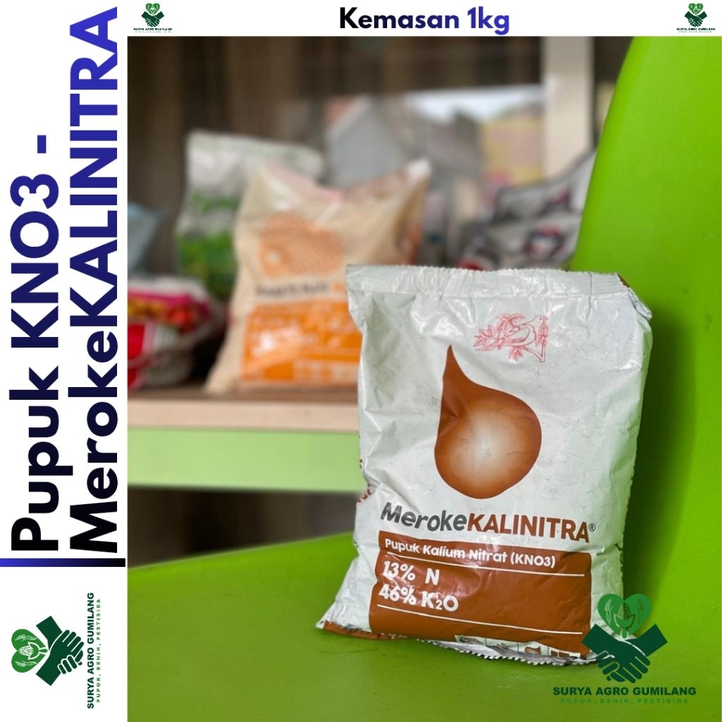 Pupuk Meroke KALINITRA KNO3 kms 1kg | Pupuk KNO3 Meroke | KNO3 Kalinitra