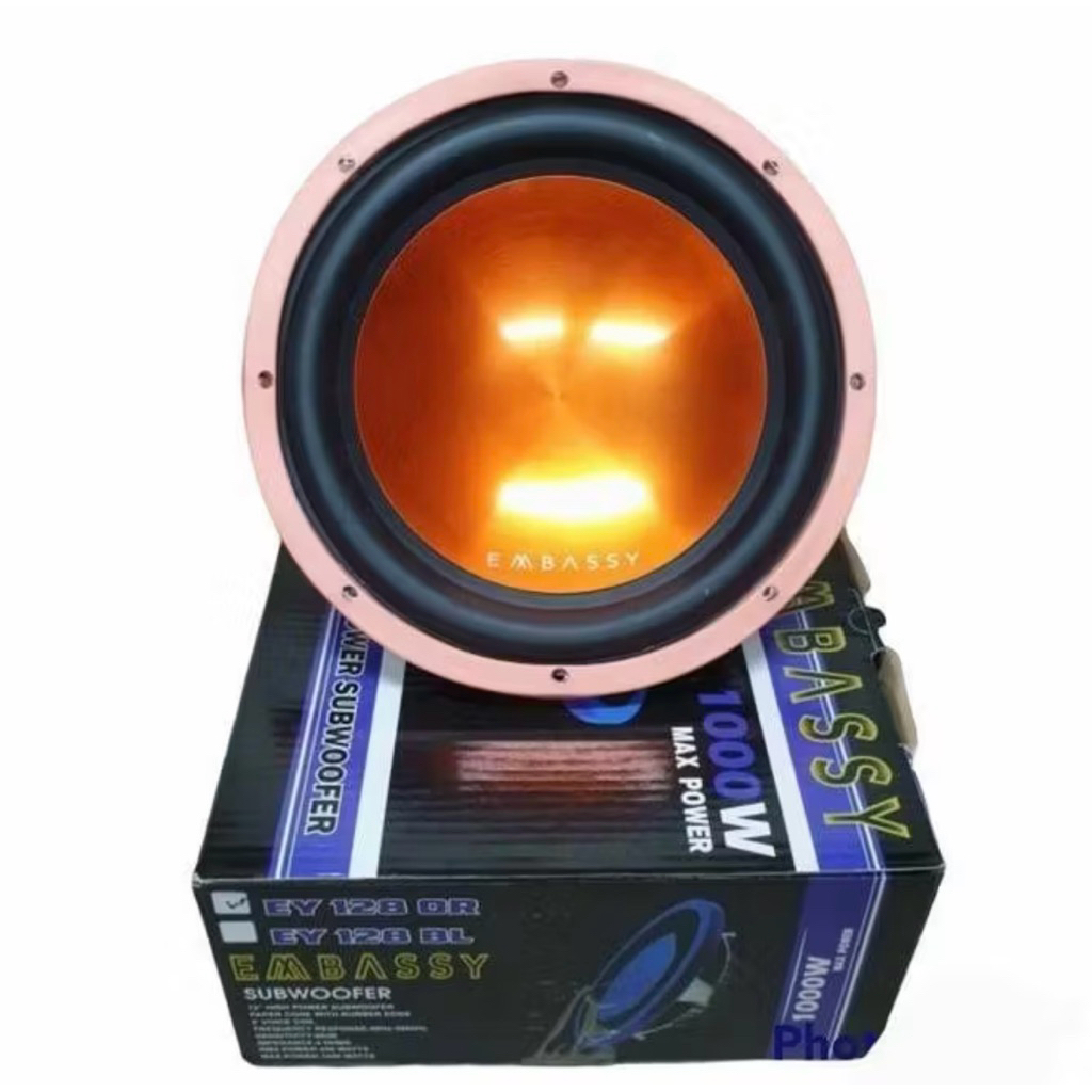 subwoofer embassy 12 inch 1000 watt