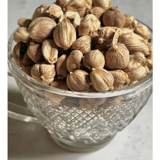 KAPULAGA PUTIH SUPER PREMIUM 100gr