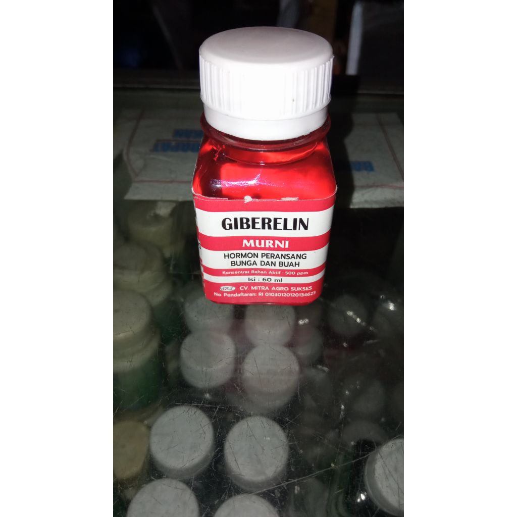 ZPT Giberelin 60 ml - Murni 500 ppm, Merangsang Pembungaan & Pembuahan Tanaman