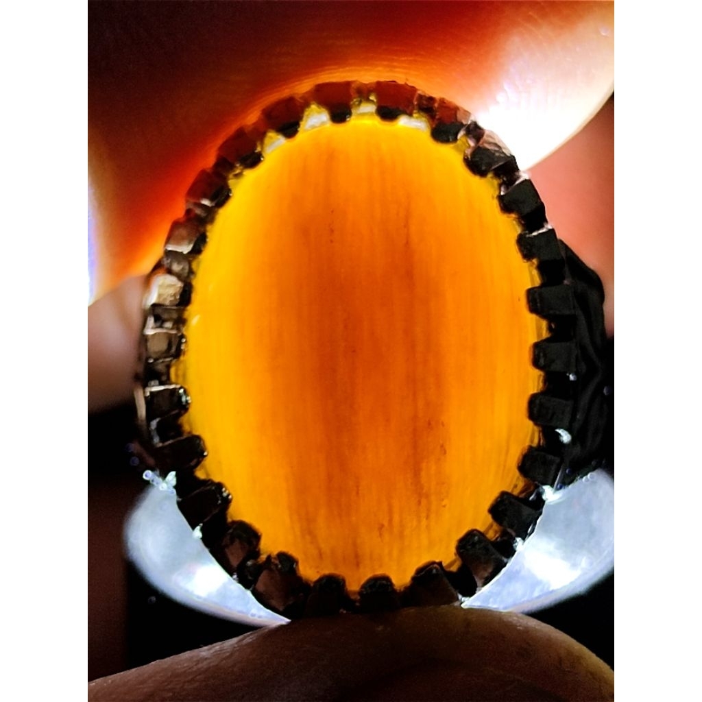 Natural Jati Petrified Wood, RED, CRYSTAL / Batu Fosil Kayu Jati, MERAH, KRISTAL, 1