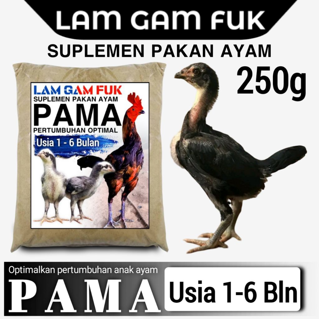 Pakan kusus anak ayam pama