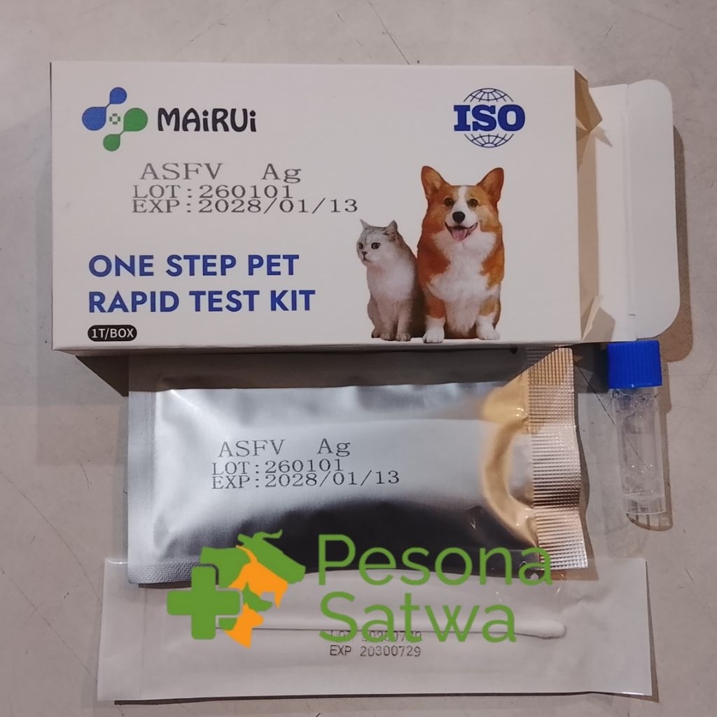 Rapid Test Kit ASFV Ag -Babi, Pig African Swine Fever Virus Antigen Rapid Test