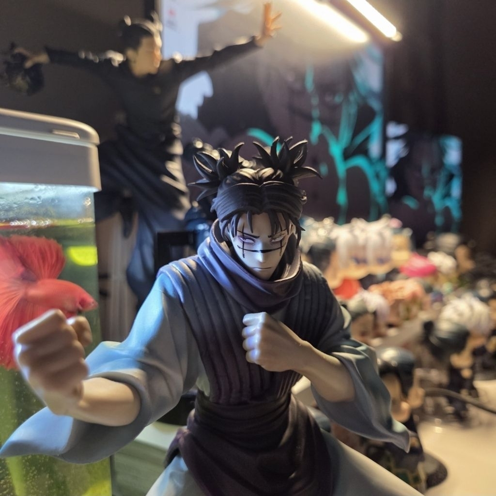 Link CO Malleus Nesoberi