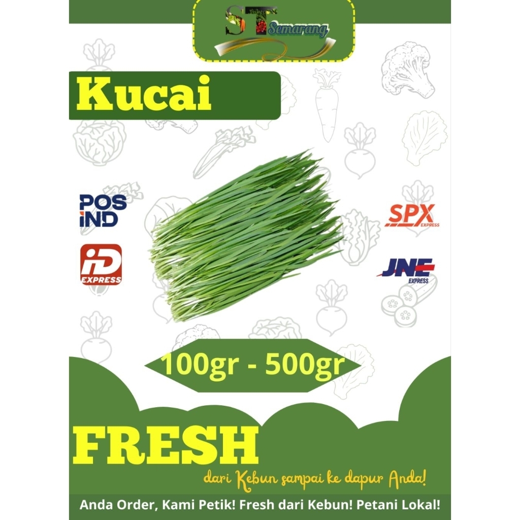 Kucai Fresh & Organik Premium | Samara Tropika