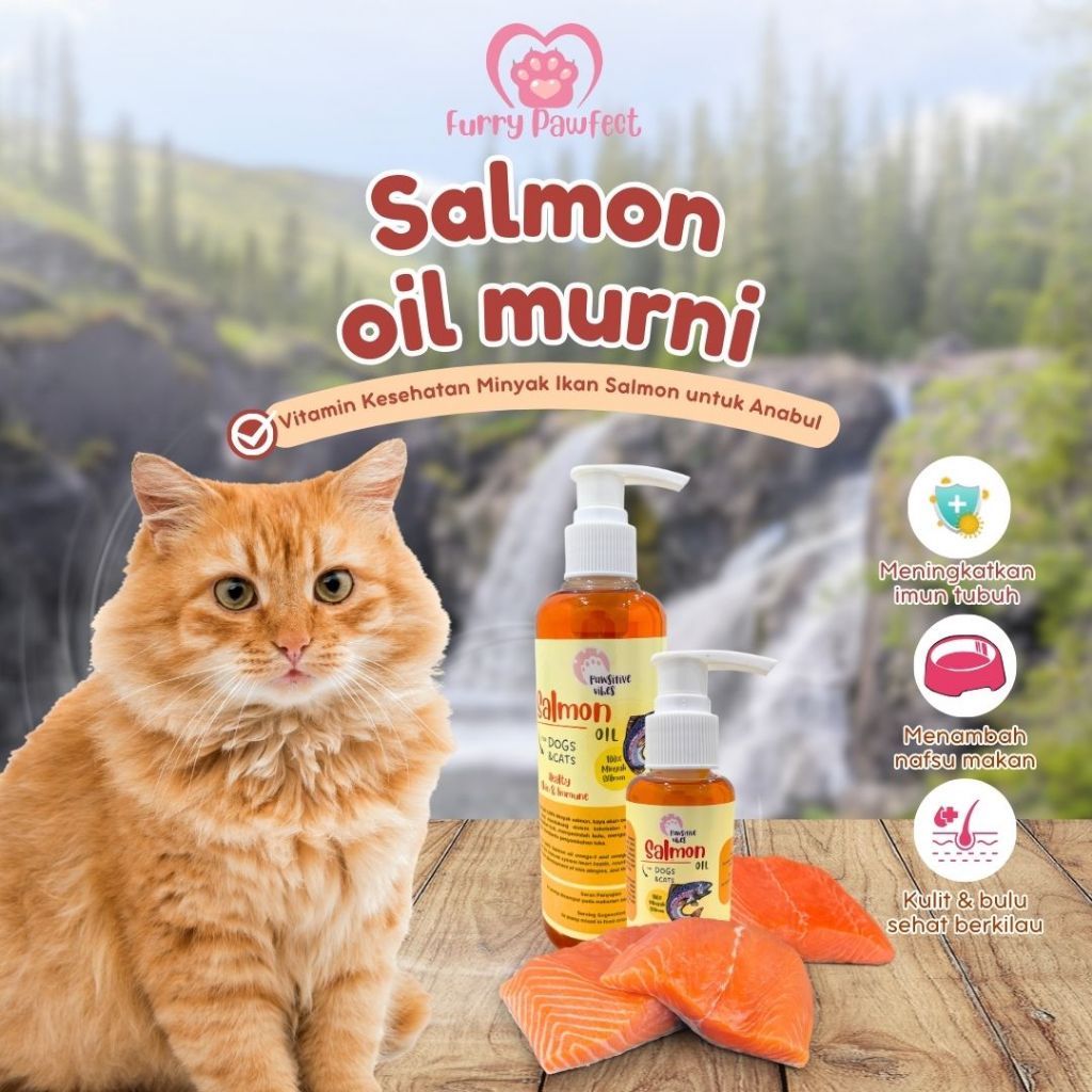 Minyak Salmon Murni 100% - Minyak Salmon Kucing Anjing Murni Minyak Ikan Salmon Tanpa Pengawet - Sal