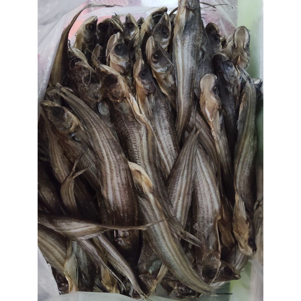 Balor Lais atau Ikan Asin Lais Ukuran Medium (M)