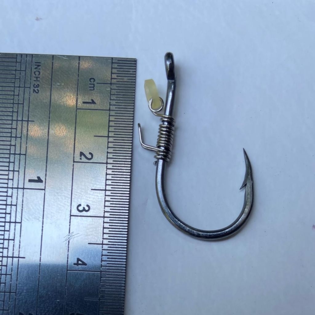 PROMO STOK TERBATAS BURUAN Kail Udang hidup Kakap putih kerapu Baramundi mangrove jack