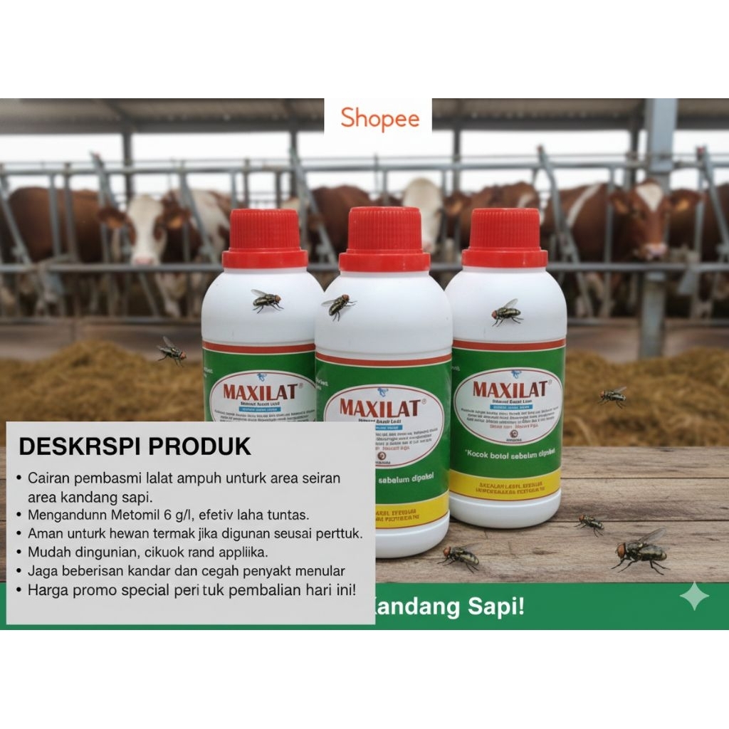 MAXILAT 250ML RACUN LALAT CAIR