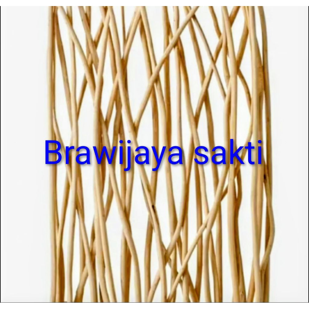 ranting kayu jati
