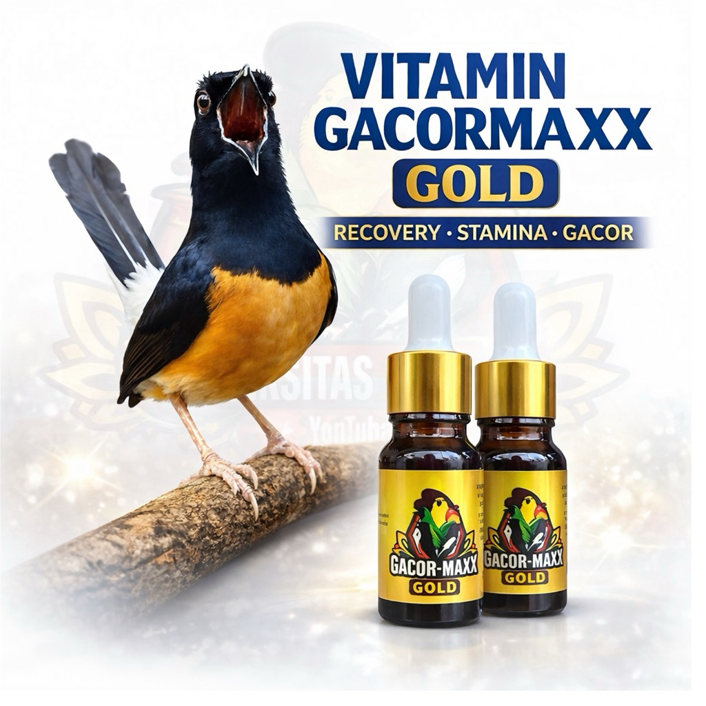 vitamin gacormaxx gold untuk murai batu